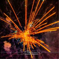 July 4 Fireworks – 2023 #144029
