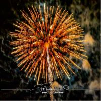 July 4 Fireworks – 2023 #144035