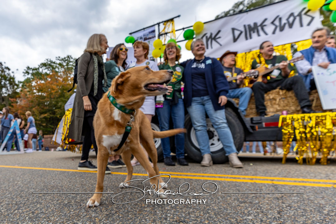 Homecoming Parade – 2023 #148784