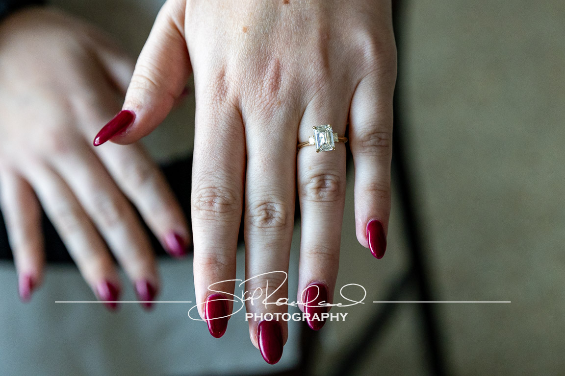 Zach & Desi Got Engaged! #225077