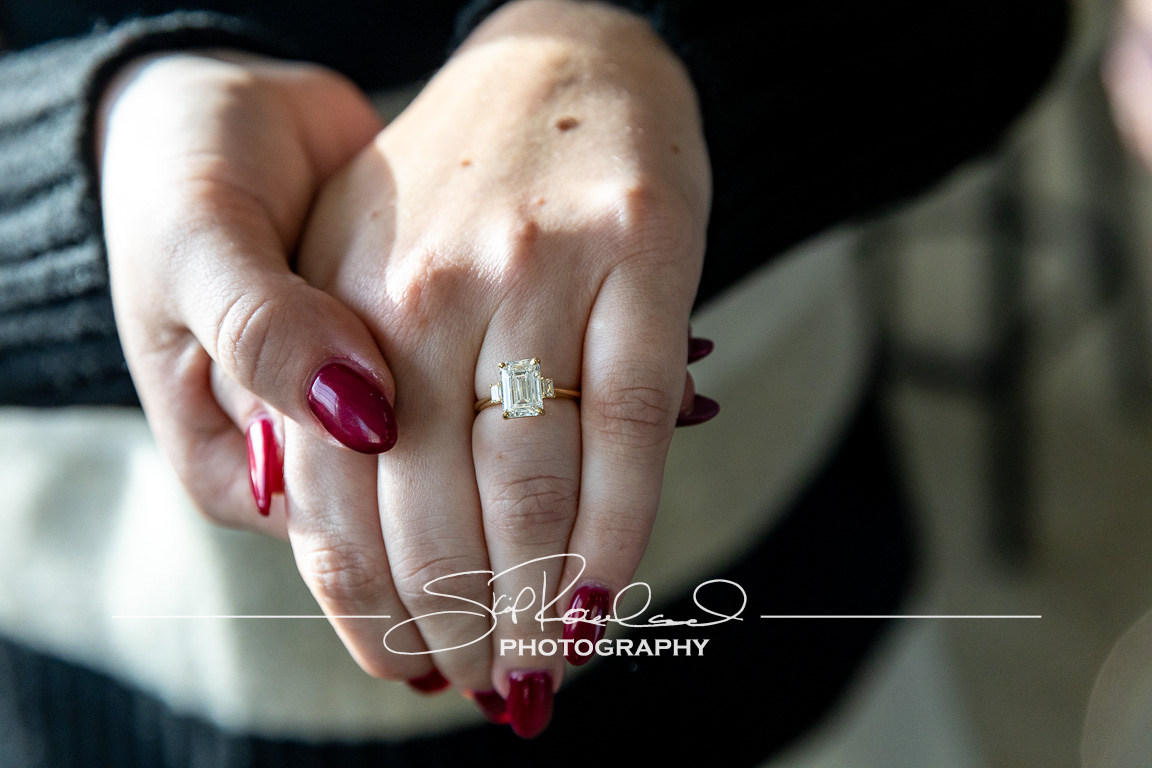 Zach & Desi Got Engaged! #225078