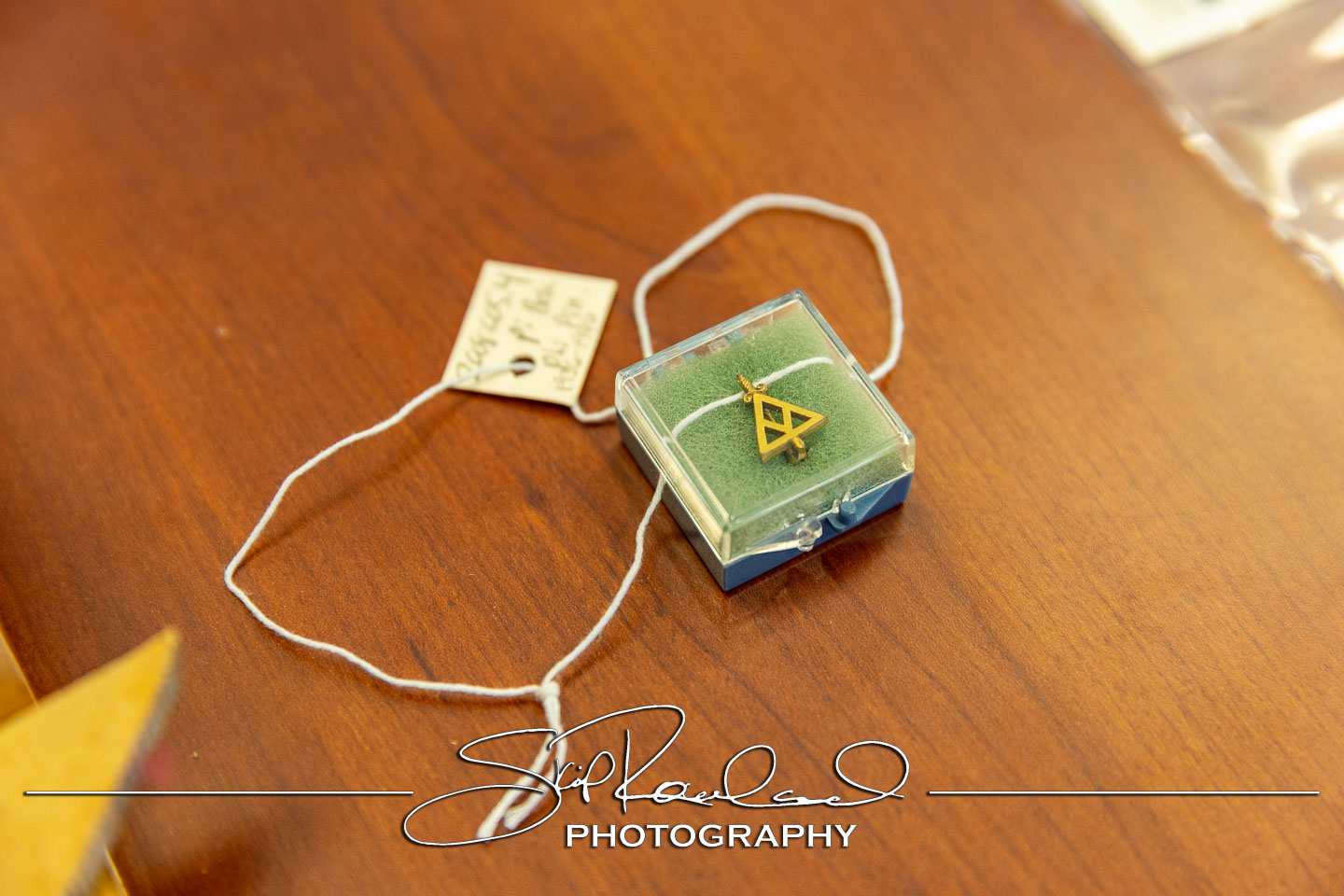Pi Beta Phi Centennial – Swem Special Collections #235249